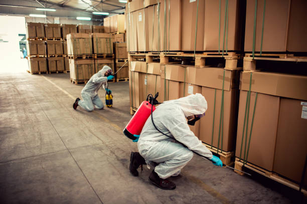 Best Insect Control  in Teaticket, MA