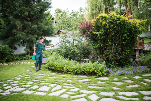 Best Wildlife Control Services  in Teaticket, MA